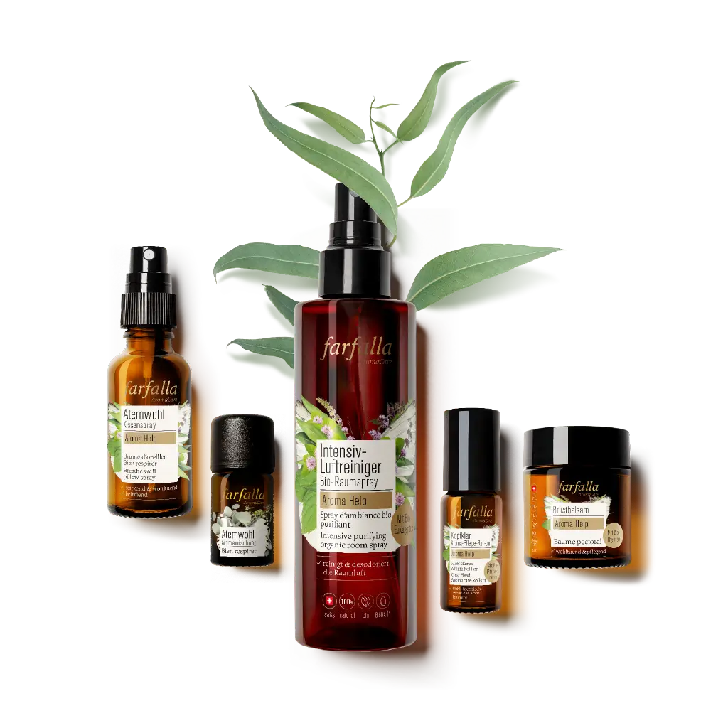 Brustbalsam Aroma Help - Image 2
